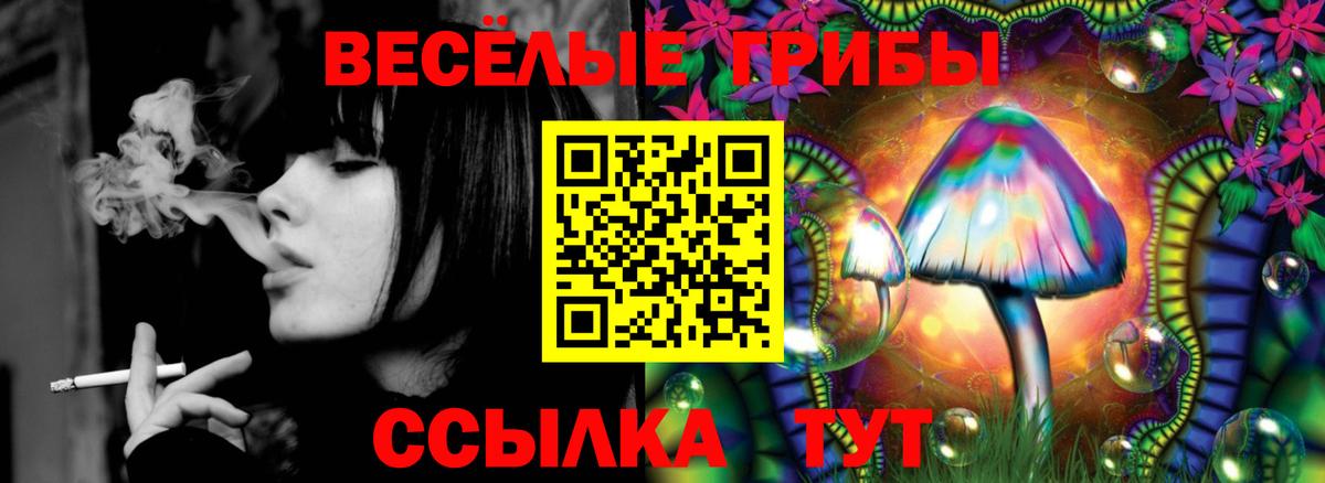 купить наркотики цена  Псилоцибиновые грибы Magic Shrooms  Вход с VPN  Горячий Ключ  Псилоцибиновые грибы мицелий 
