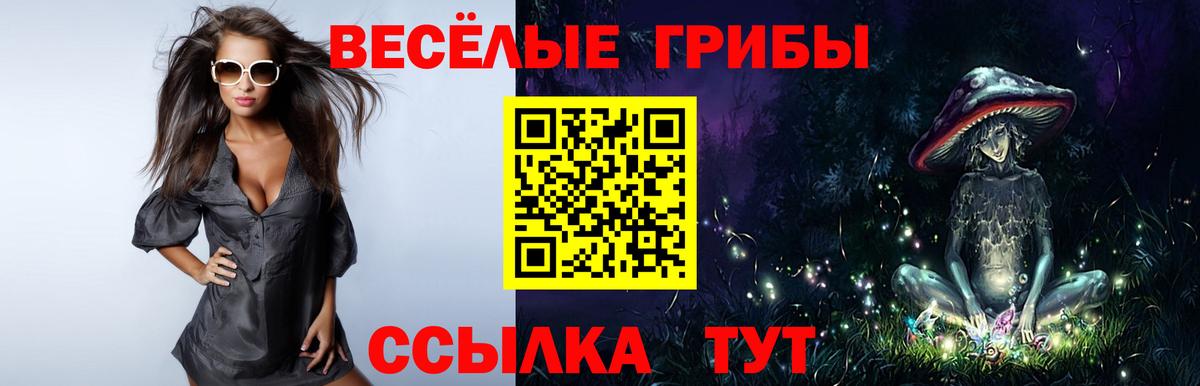 Псилоцибиновые грибы Psilocybine cubensis Горячий Ключ
